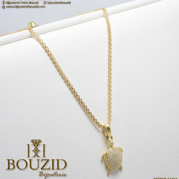 484318225_1024759126420798_5711246535294771635_n